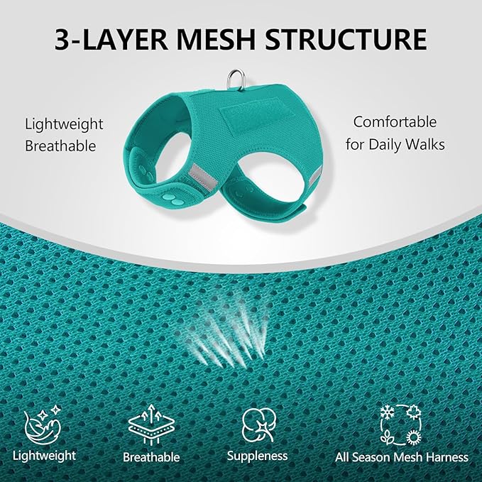 Dog Harness for Puppy – Adjustable Reflective Easy Put On Soft Mesh Vest for Small Dogs with 2 Patches (MARRS Green,S)