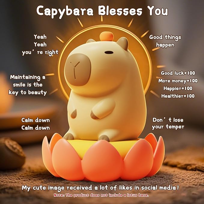 Capybara Lamp,Cute Capibara Night Light, LED Squishy Novelty Animal Lamp,Dimmable Soft Silicone Nursery Nightlight for Kids, Rechargeable Bedroom Touch Lamp, Dorm Decor, Baby Boys Girls Gift