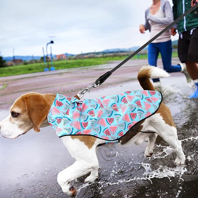 Mile High Life Dog Raincoat, Adjustable Waterproof Reflective Rain Jacket for Small Medium Large Dogs, Lightweight Breathable Pet Rain Coat with Leash Hole(Light Blue Watermelon,L Chest 32-40")