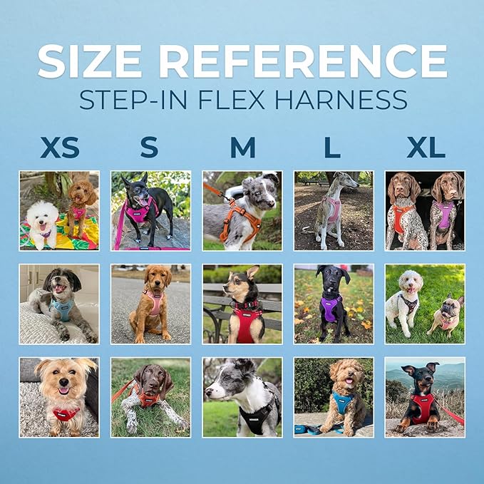 Best Pet Supplies Voyager Adjustable Dog Vest Harness Breathable No Pull Harness for Small, Medium, Large Dogs, Heavy Duty Harness for Walking, Jogging, Easy Step-in, Reflective Stripes - (Black), L