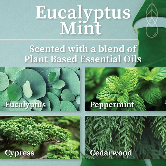 Hemlock Park Amber & Gold Wood Wick Candle Handcrafted with Natural Coconut Wax (Standard 7.2 oz, Eucalyptus Mint)