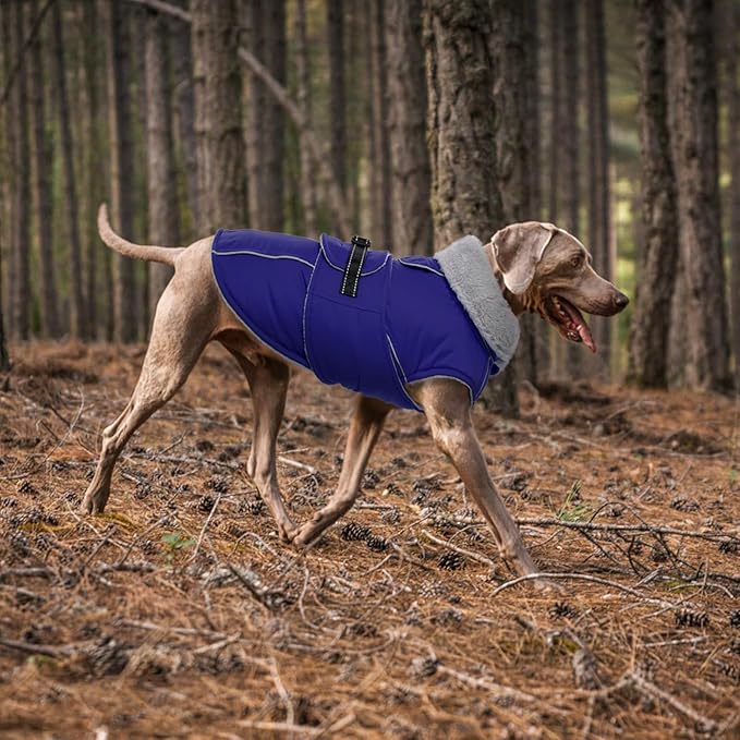 Lelepet Warm Dog Coat Reflective Fleece Vest Waterproof Dog Jacket with Adjustable Buckle Hook & Loop Windproof Cold Weather Coats for Small Medium Large Dogs, Blue, XXL