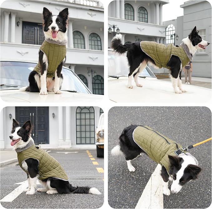 Warm Fleece Dog Coats with Durable Harness Buitl in D-Ring,Waterproof Puppy Jacket for Small Dogs,Dog Vest for Cold Winter,Green XS
