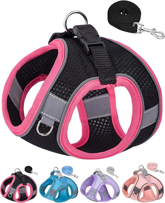 Dog Harness for Small Medium Sized Dog, Step in Puppy Harness and Leash Set Training Walking. (Black, XS)