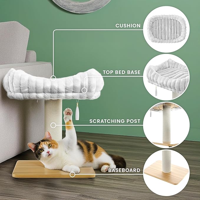 Modern Scratching Post for Indoor Cats - 15” High Cat Scratching Post with Bed Breeds - 15.7” x 11.6” Removable & Washable Cushion (Natural Wood Post with White Bed)