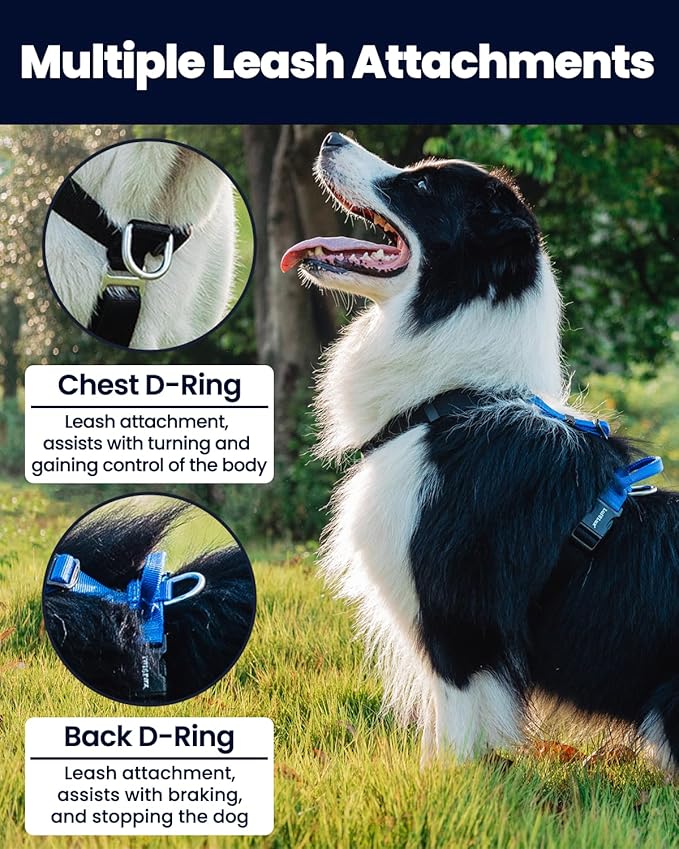 Non-Restrictive Dog Harness, Easy Walk Freedom No Pull Harness, Keep Balance, Neck-Buckle, Six Points Adjustment, 2 Leash Clips for Back and Front Clip (Blue/Black, X-Small)