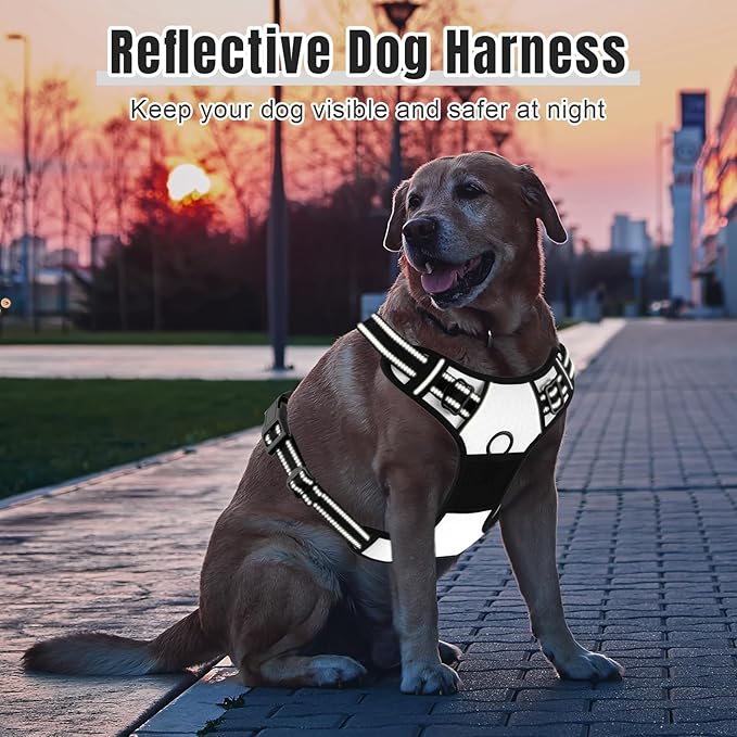 Rnivvi No Pull Dog Harness, Cute Reflective X-Large Sized Puppy Harness, Adjustable Soft Padded Vest for Large Dogs, Heavy Duty Pet Vest with Easy Control Handle for Walking Training, White