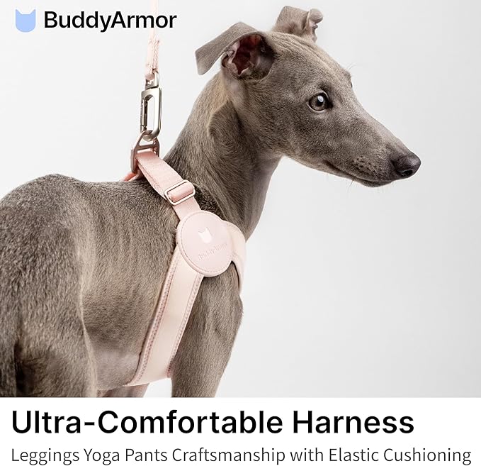 Ultra Comfortable Dog Harness Adjustable Soft Dog Vest, Alloy Buckle Closure Lightweight Stretchy Puppy Harness Step in for Small Sized Dogs Walking Training (Monet Purple, XXS 11.8-12.6")
