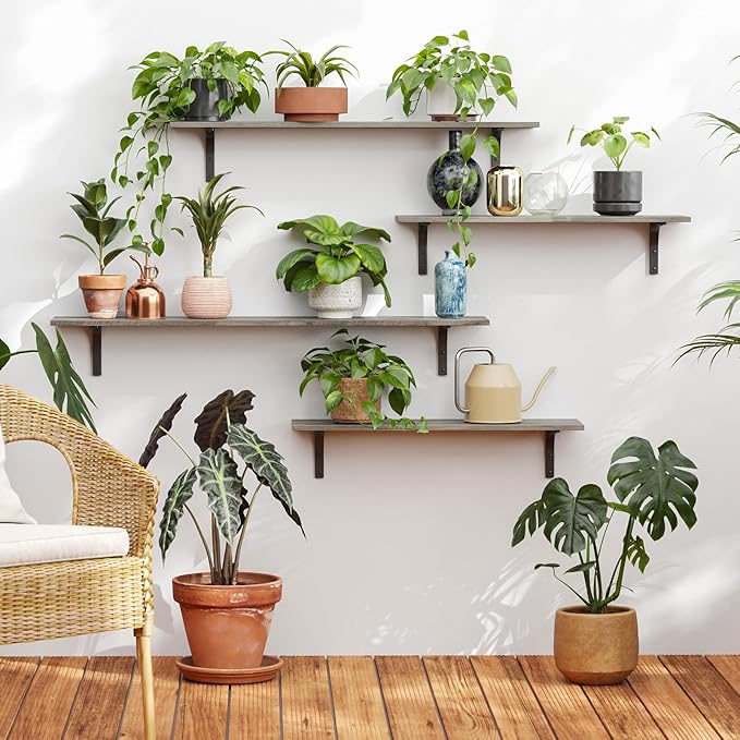 DINZI LVJ Long Wall Shelves, 31.5 Inch Wall Mounted Shelves Set of 2, Easy-to-Install, Floating Storage Ledges with Sturdy Metal Brackets for Living Room, Bathroom, Bedroom, Kitchen, Gray Wash