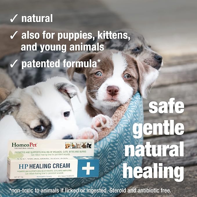HomeoPet HP Healing Cream, Safe and Natural Skin-Healing Ointment for Cats and Dogs, 14 Grams