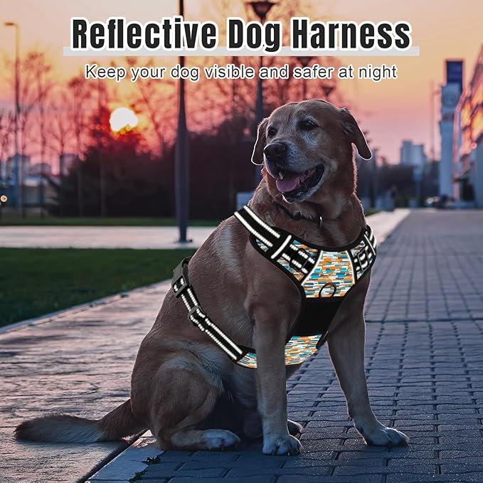 Rnivvi No Pull Dog Harness, Cute Boho Reflective X-Small Sized Puppy Kitten Harness, Adjustable Soft Padded Vest for Small Dogs, Cats, Heavy Duty Pet Vest with Easy Control Handle for Walking, Spliced