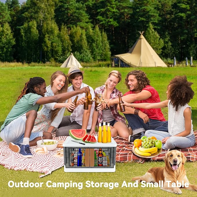 Storage Bin, Plastic Cabinet, 8.4 Gallon Capacity (32L Per One), 2 Pack, Collapsible Box with Lids, Foldable Drawer, Transparent, Organizers for Home and Office