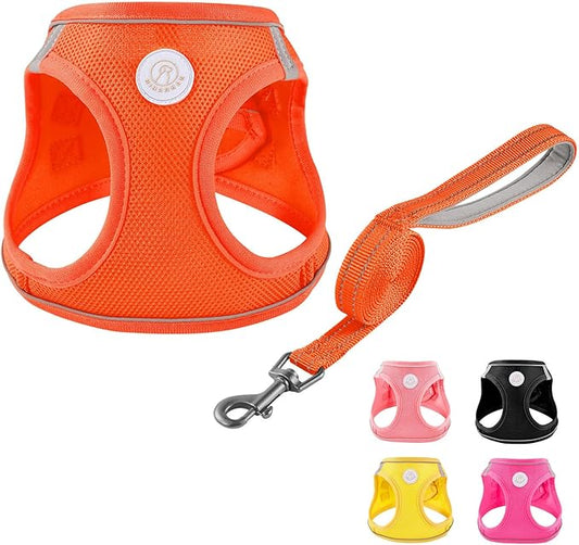 Soft Mesh Dog Harness and Leash Set, No Pull Puppy Harness and Leash Set, Reflective Step in Harness for Small Medium Dogs, Easy Walk Escape Proof Vest Harnesses (Orange, M)