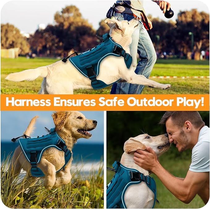 Heavy-Duty Tactical Dog Harness for Large Dogs, No Pull Adjustable Reflective Pet Vest with Molle System, K9 Military-Grade Control for Service Training, Outdoor & 10+ Breeds, Blue, X-Large