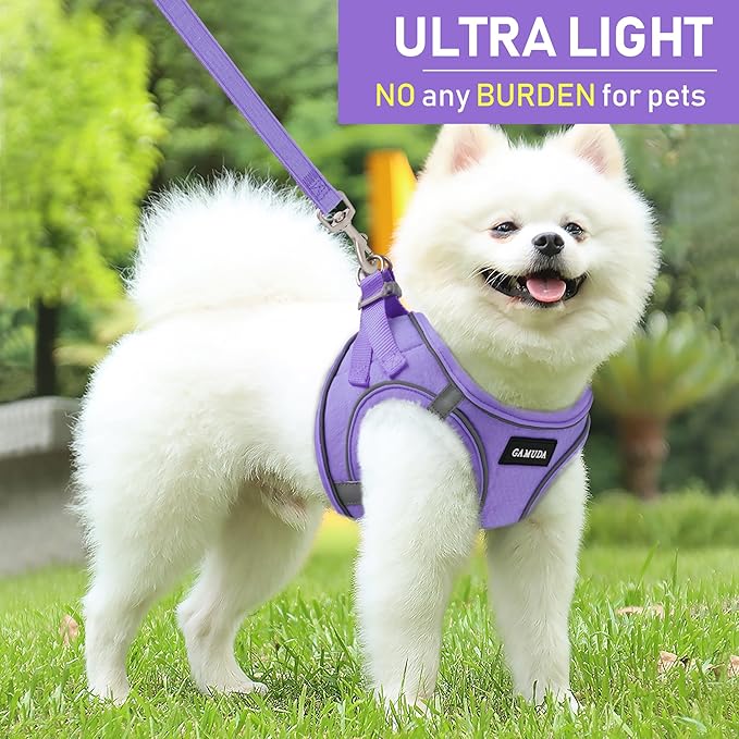 GAMUDA Small Pet Harness Collar and Leash Set, Step in No Chock No Pull Linen Fabric Soft Mesh Dog Vest Harnesses Reflective for Dogs Puppy Cats Kitten Rabbit (Purple, M)