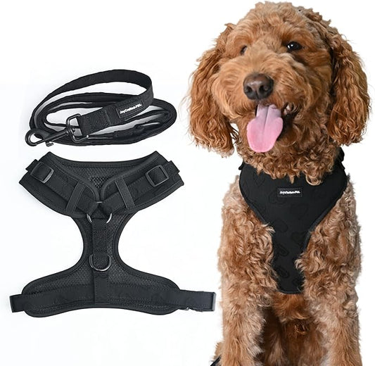 No-Pull, No-Choke Dog Harness & Leash Set – Stylish & Fun – Lightweight, Breathable Neoprene – Unique Heart Pattern (Pink, Blue, Green, Black) – Adjustable for Extra Small to Medium Dogs (Black, L)