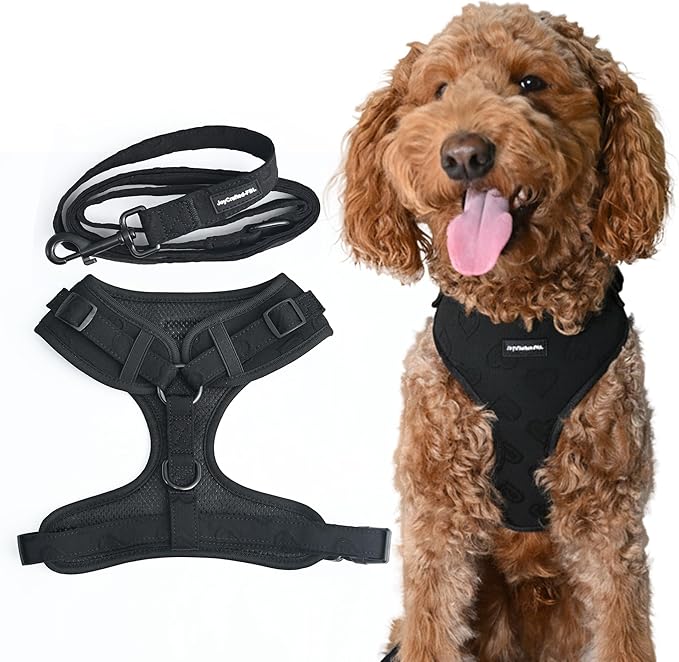 No-Pull, No-Choke Dog Harness & Leash Set – Stylish & Fun – Lightweight, Breathable Neoprene – Unique Heart Pattern (Pink, Blue, Green, Black) – Adjustable for Extra Small to Medium Dogs (Black, XXS)
