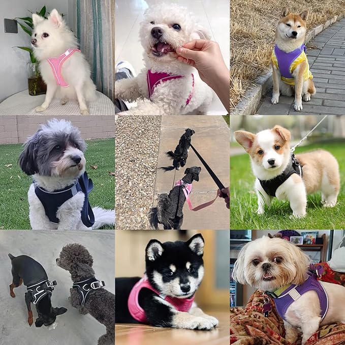 Dog Harness with Leash Set, No-Pull Step-in Reflective Pet Harness with 1 Leash Clips, Adjustable Soft Padded Easy Walk Dog Vest for Small Medium Large Dogs, Cats(Rose Red, XXXSmall)