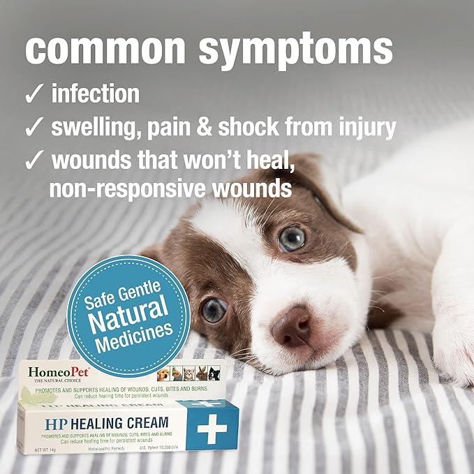 HomeoPet HP Healing Cream, Safe and Natural Skin-Healing Ointment for Cats and Dogs, 14 Grams