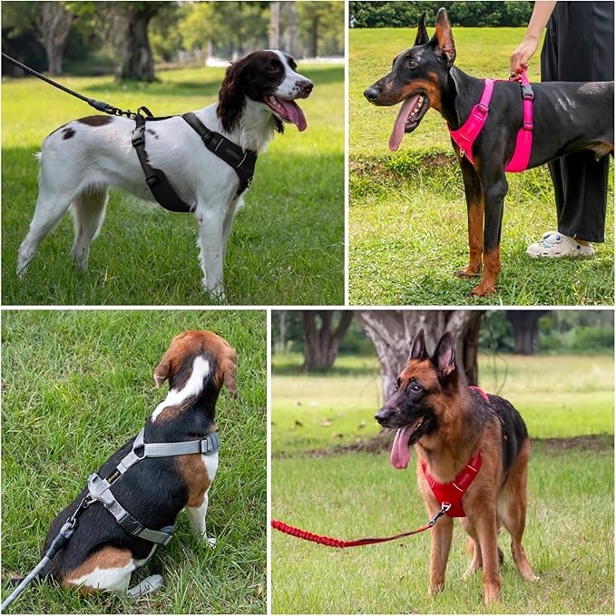 Plutus Pet No Pull Dog Harness, Reflective Adjustable Dog Vest Harness with Handle, Escape Proof, Soft Padded for Small Medium Large Dogs (Green, S)