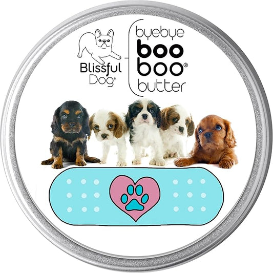 The Blissful Dog 1 oz TIN Cavalier King Charles Spaniel Booboo Butter