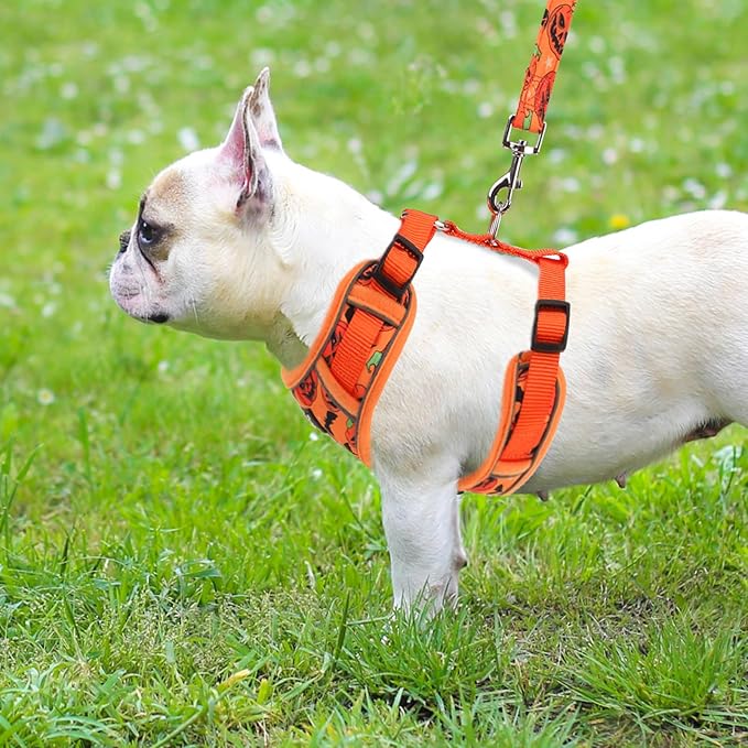 PUPTECK Small Dog Harness and Leash Set, No Pull Adjustable Puppy Cat Harness, Reflective Soft Mesh Pet Vest Small Sized