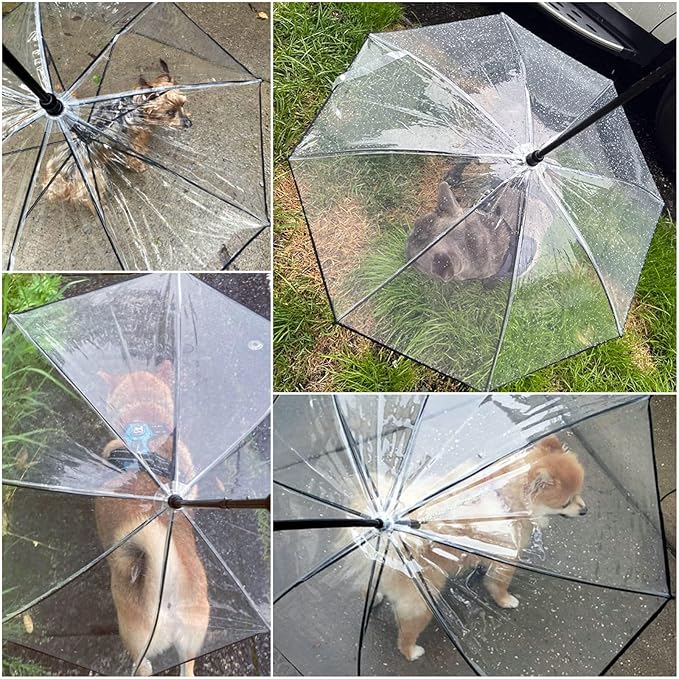 NAMSAN Dog Umbrella for Small Dogs, Clear Dog Umbrella Leash for Rainy Day, Walking Puppy Umbrella with Metal Chain, Self-Assembly, Adjustable