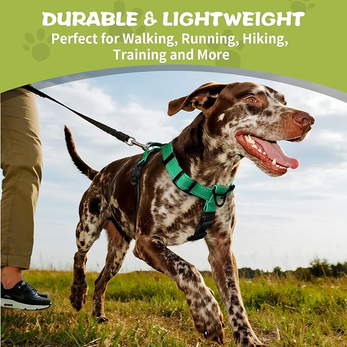 No-Pull Harness,Y-Shaped Design,Buckle-Neck Balance Harness with Reflective Stitching, Ideal for Dog Training and Night Walking, Padded Handle, Durable High-Tensile Nylon-Aqua Green-M