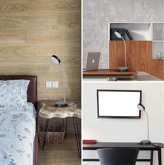 19.25" Flexible Gooseneck LED Desk Lamp, Plun-in Table Light with Stable Base, 4.5W 260LM 4000K, 65” Cord Small Desk Light for Home Office, Study, ETL Listed