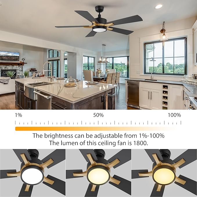 CEME 52 Inch Ceiling Fan with Light and Remote, 10 Speeds Reversible DC Motor Outdoor Ceiling Fan, 3 Light Colors Dimmable Black Ceiling Fan Compatible with Alexa, Siri & Google Home, Black Gold