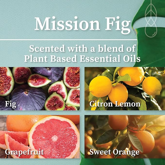 Hemlock Park Amber & Gold Wood Wick Candle Handcrafted with Natural Coconut Wax (Standard 7.2 oz, Mission Fig)