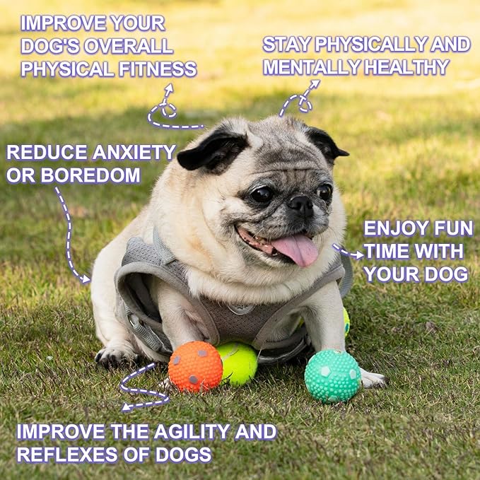 Dog Balls 9 Pcak, Interactive Pet Self Playing for Small Dogs and Puppies for Automatic Dog Ball Launcher(2 Inches Balls)
