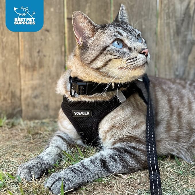 Best Pet Supplies Voyager Step-in Air Harness - All Weather Mesh, Reflective, No Pull Harness for Dogs, Cats - Secure with Hook & Loop Fastener, Buckle, Double D-Rings - Black, XS