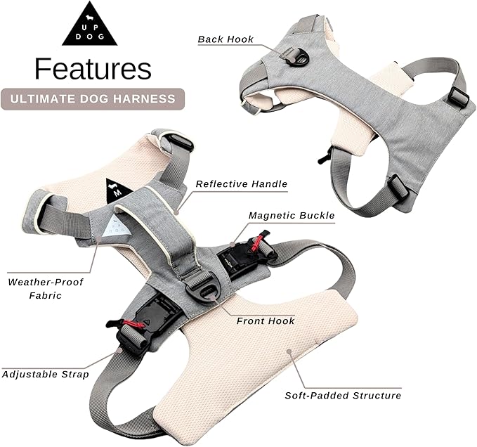 Strong & Secure Magnetic Dog Harness with Easy Lock Buckle - Comfortable No-Pull Vest for Small, Medium & Large Dog Breeds (Small)