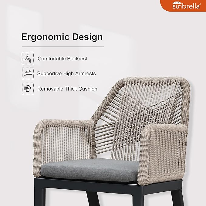 PURPLE LEAF Patio Dining Chair Set 2 Pieces Metal Modern Furniture Seating for Garden Kitchen Porch Outdoor Rattan Dining Chairs with Armrests and Cushions, Dark Grey