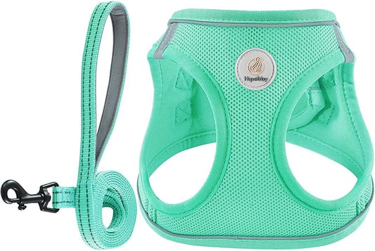 Dog Harness and Leash Set, No Pull Soft Mesh Puppy Harness for Small Medium Dogs, Cats - Step in Reflective Breathable Lightweight Vest Harness for Walking, Training - Green, L