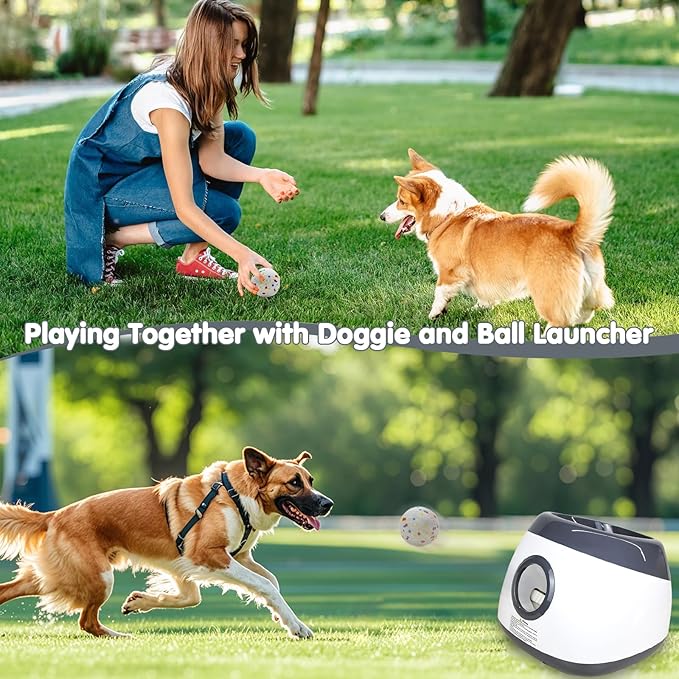 Dog Toy Balls 2.5 Inch, Indestructible Dogs Tennis Balls 3 Pack for Aggressive Chewers, Durable Interactive Toys for Large and Medium Dogs, Perfect for 2.5 Inch Dog Ball Launcher (ETPU Material)