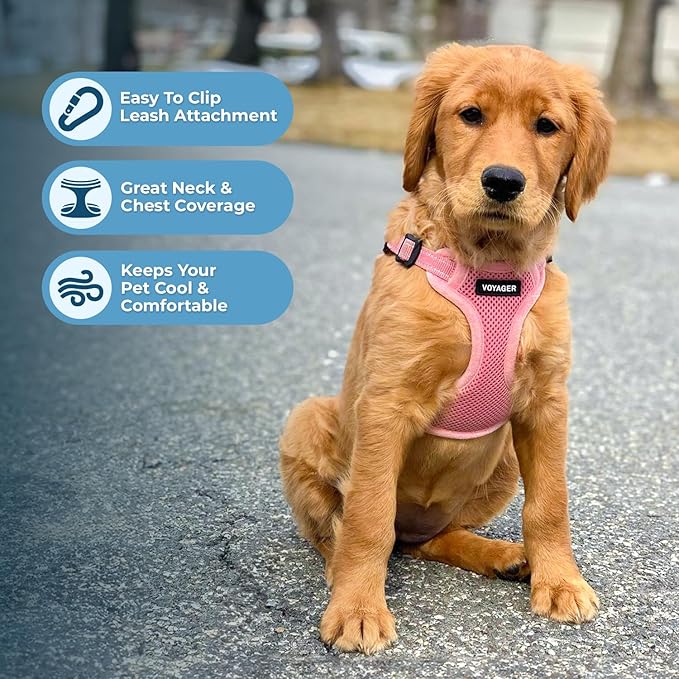 Best Pet Supplies Voyager Adjustable Dog Harness Leash Set with Reflective Stripes for Walking Heavy-Duty Full Body No Pull Vest with Leash D-Ring, Breathable All-Weather - Pink, M