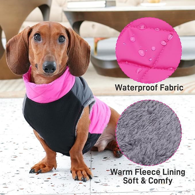 Warm Fleece Dog Coats for Small Dogs,D-Rings Waterproof Puppy Jacket for Cold Winter,Pink XS