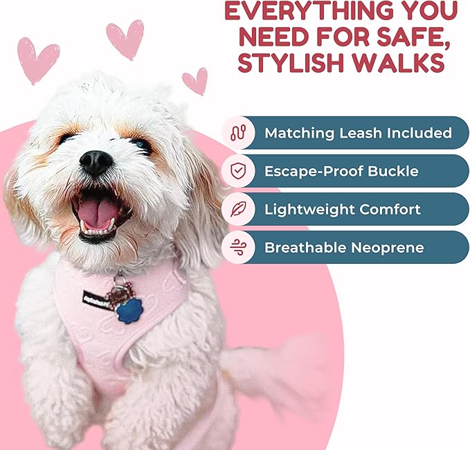 No Pull Puppy Harness and Leash Set – No Choke Neoprene Dog Harness for Extra Small Dogs (5–15lbs) Pink XS, Lightweight Breathable Mesh with Unique Heart Pattern, Adjustable Fit