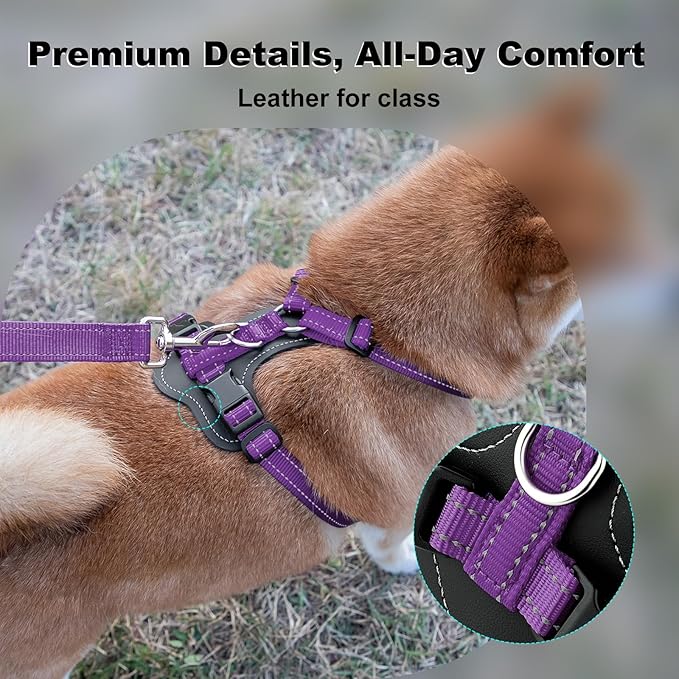 Plutus Pet Adjustable No Pull Dog Harness with Leather Accents, Heavy Duty Reflective Nylon Vest for Training, Hiking, Easy Walk Harness for Small, Medium, Large Dogs (Purple, M)