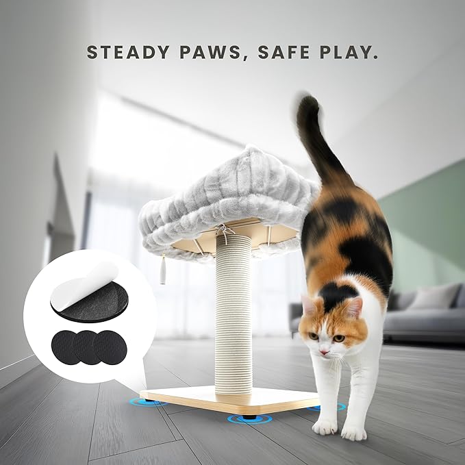 Modern Scratching Post for Indoor Cats - 15” High Cat Scratching Post with Bed Breeds - 15.7” x 11.6” Removable & Washable Cushion (Natural Wood Post with White Bed)