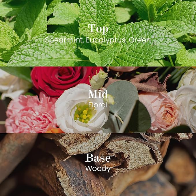 M&SENSE Natural Soy Candle| City Oasis | 5.3 oz | Minimalist Christmas Scented Candle for Relaxation, Gifting, Home Décor | for Bedroom, Office, Party Small