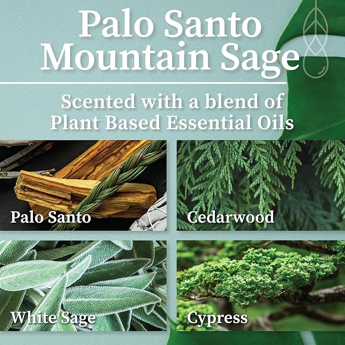 Hemlock Park Amber & Gold Wood Wick Candle Handcrafted with Natural Coconut Wax (Standard 7.2 oz, Palo Santo Mountain Sage)