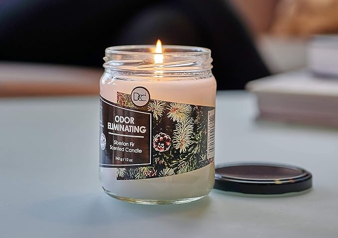 Siberian Fir Odor Eliminating Highly Fragranced Candle - Eliminates 95% of Pet, Smoke, Food, and Other Smells Quickly - Up to 80 Hour Burn time - 12 Ounce Premium Soy Blend