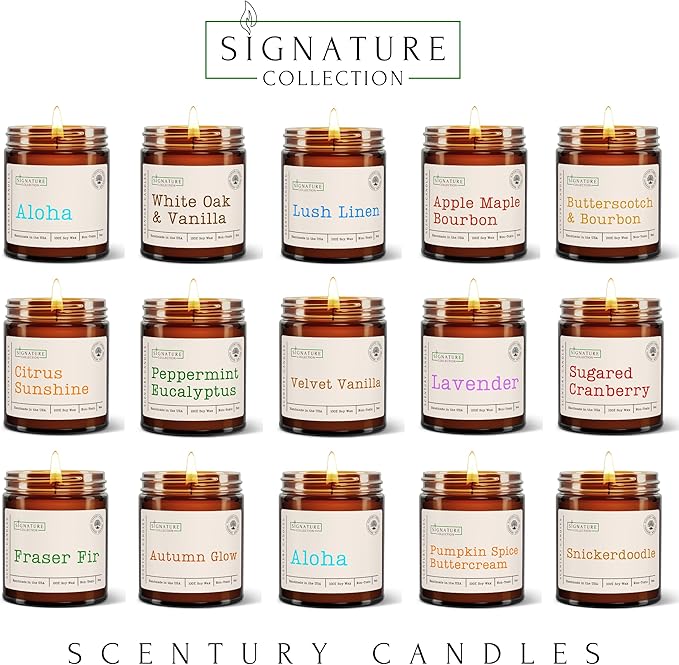 Citrus Sunshine Scented Candle, Many Scents to Choose from, All Natural Non-Toxic Soy Wax, Handmade in The USA (Citrus Sunshine)