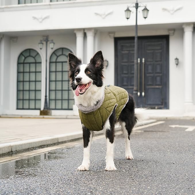 Warm Fleece Dog Coats with Durable Harness Buitl in D-Ring,Waterproof Puppy Jacket for Small Dogs,Dog Vest for Cold Winter,Green XS