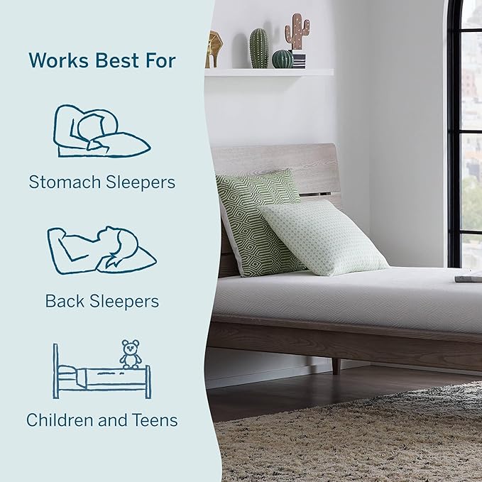 Lucid 6 Inch Memory Foam Mattress – Low Profile – Medium Firm Feel - Infused with Bamboo Charcoal and Gel - Bed in a Box - Temperature Regulating - Breathable - Queen Size