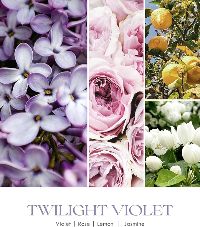 AOOVOO Violet Odor Eliminating Highly Fragranced Candle - Eliminates 95% of Pet, Smoke, Food, and Other Smells Quickly, Air Freshing Soy Candle, 9 oz