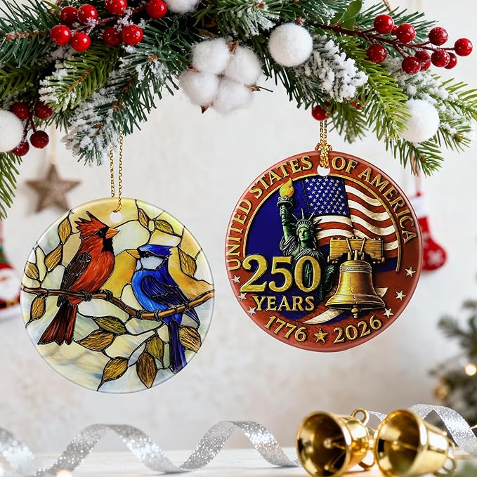 Cardinal & Blue Jay Ornament | Christmas Ornaments, Christmas Decorations, Hanging Ornaments for Tree, Holiday Decor Gifts | Gifts for Bird Lover, Women, Friend, Coworker | Gift Exchange Ideas